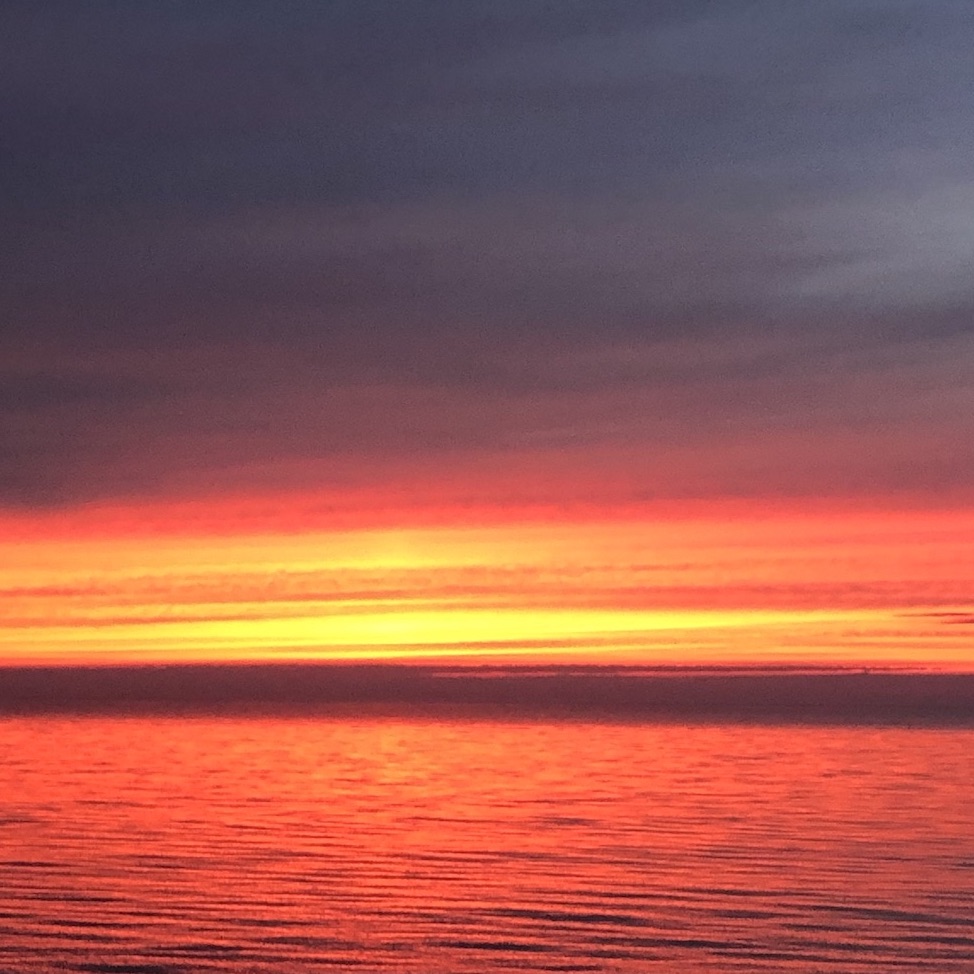 describe the image HERE for accessibility purposes