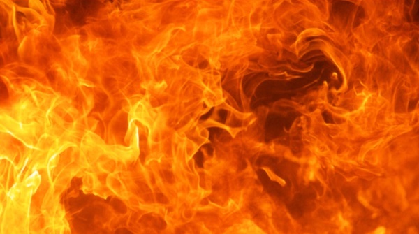 Pitt Fuego Flame